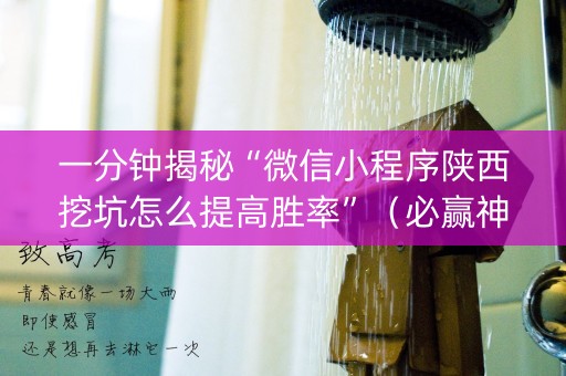一分钟揭秘“微信小程序陕西挖坑怎么提高胜率”（必赢神器免费安装)