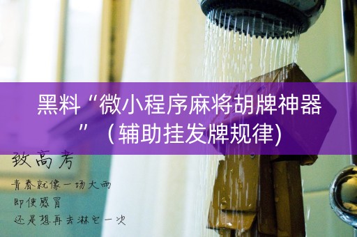 黑料“微小程序麻将胡牌神器”（辅助挂发牌规律)