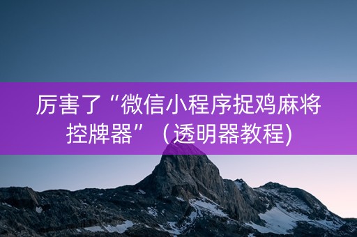 厉害了“微信小程序捉鸡麻将控牌器”（透明器教程)