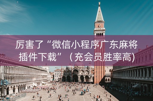 厉害了“微信小程序广东麻将插件下载”（充会员胜率高)