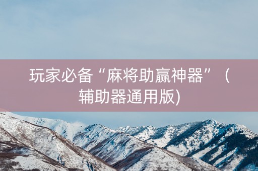 玩家必备“麻将助赢神器”（辅助器通用版)