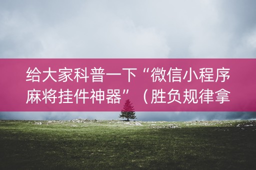 给大家科普一下“微信小程序麻将挂件神器”（胜负规律拿好牌)