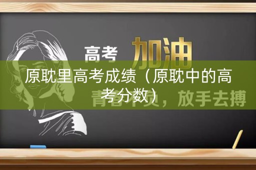 原耽里高考成绩（原耽中的高考分数）
