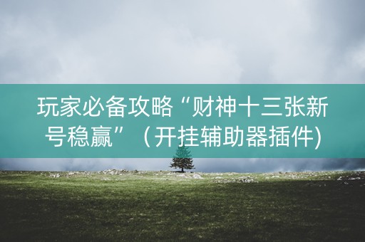 玩家必备攻略“财神十三张新号稳赢”（开挂辅助器插件)