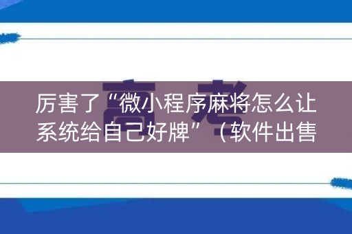 厉害了“微小程序麻将怎么让系统给自己好牌”（软件出售)