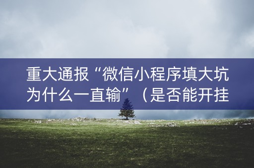 重大通报“微信小程序填大坑为什么一直输”（是否能开挂)