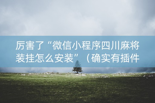 厉害了“微信小程序四川麻将装挂怎么安装”（确实有插件吗)