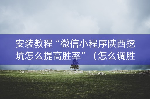 安装教程“微信小程序陕西挖坑怎么提高胜率”（怎么调胜率)