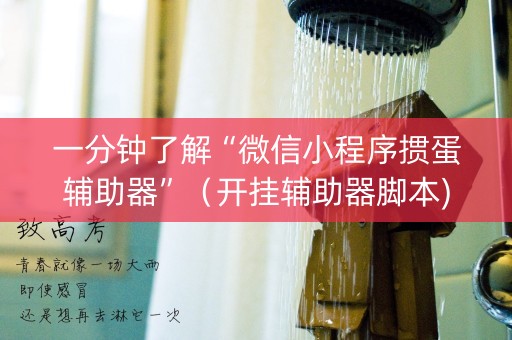 一分钟了解“微信小程序掼蛋辅助器”（开挂辅助器脚本)