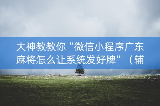 大神教教你“微信小程序广东麻将怎么让系统发好牌”（辅助神器免费)