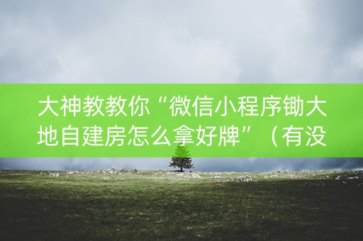 大神教教你“微信小程序锄大地自建房怎么拿好牌”（有没有猫腻)