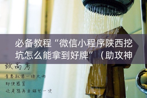 必备教程“微信小程序陕西挖坑怎么能拿到好牌”（助攻神器)