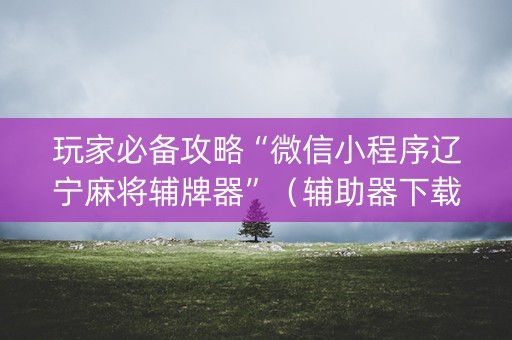 玩家必备攻略“微信小程序辽宁麻将辅牌器”（辅助器下载)