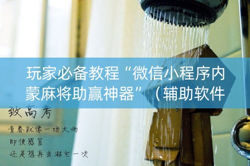 玩家必备教程“微信小程序内蒙麻将助赢神器”（辅助软件)