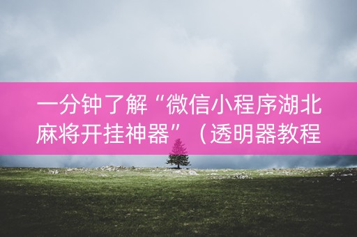 一分钟了解“微信小程序湖北麻将开挂神器”（透明器教程)