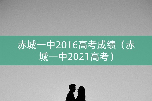 赤城一中2016高考成绩（赤城一中2021高考）