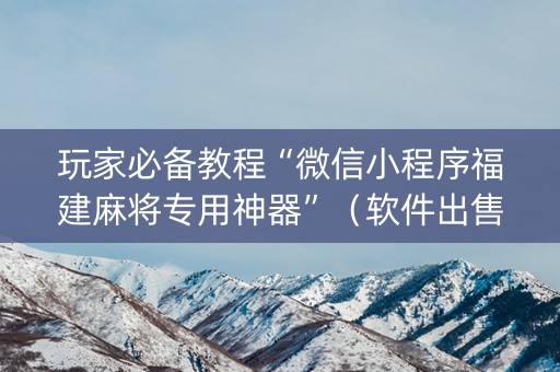 玩家必备教程“微信小程序福建麻将专用神器”（软件出售)