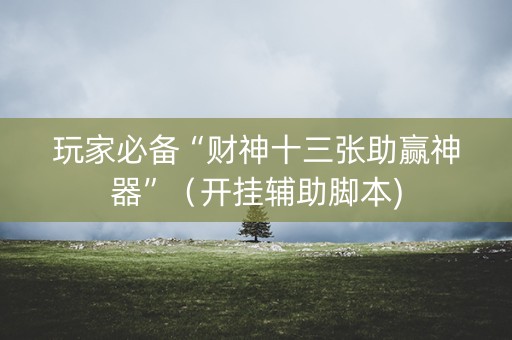 玩家必备“财神十三张助赢神器”（开挂辅助脚本)