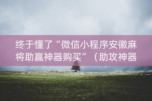 终于懂了“微信小程序安徽麻将助赢神器购买”（助攻神器)