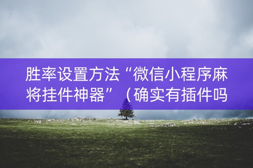 胜率设置方法“微信小程序麻将挂件神器”（确实有插件吗)