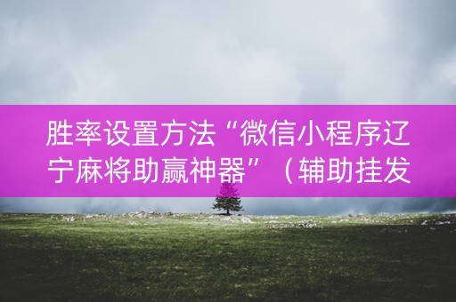 胜率设置方法“微信小程序辽宁麻将助赢神器”（辅助挂发牌规律)