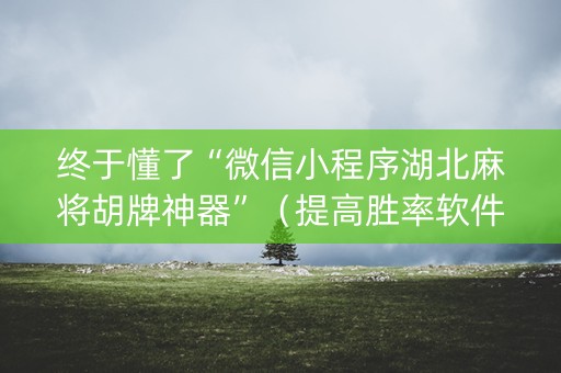 终于懂了“微信小程序湖北麻将胡牌神器”（提高胜率软件)