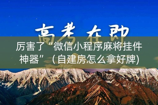 厉害了“微信小程序麻将挂件神器”（自建房怎么拿好牌)