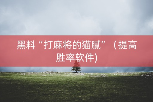 黑料“打麻将的猫腻”（提高胜率软件)