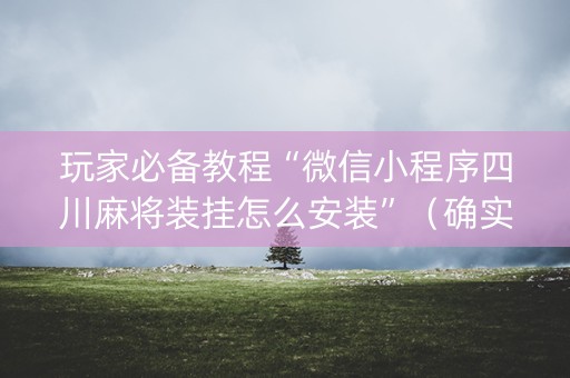 玩家必备教程“微信小程序四川麻将装挂怎么安装”（确实有插件吗)