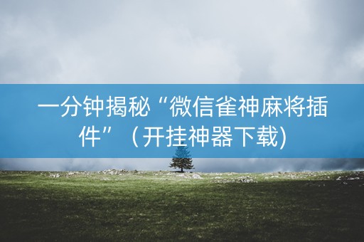 一分钟揭秘“微信雀神麻将插件”（开挂神器下载)