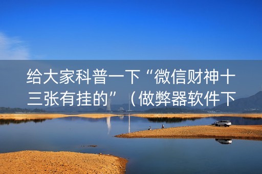 给大家科普一下“微信财神十三张有挂的”（做弊器软件下载)