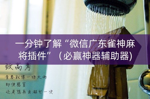 一分钟了解“微信广东雀神麻将插件”（必赢神器辅助器)