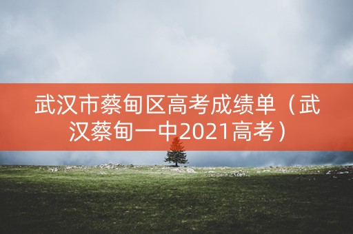 武汉市蔡甸区高考成绩单（武汉蔡甸一中2021高考）