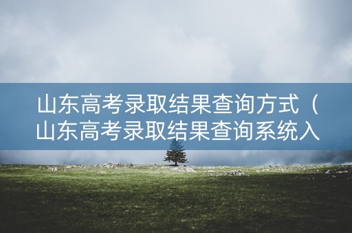 山东高考录取结果查询方式（山东高考录取结果查询系统入口）