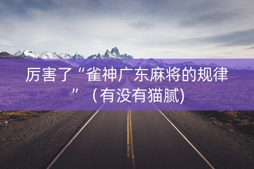 厉害了“雀神广东麻将的规律”（有没有猫腻)