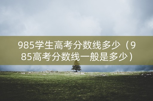 985学生高考分数线多少（985高考分数线一般是多少）