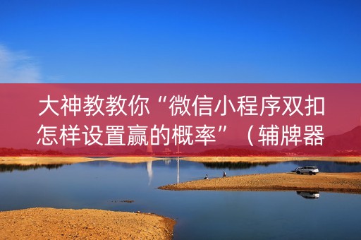 大神教教你“微信小程序双扣怎样设置赢的概率”（辅牌器插件购买)