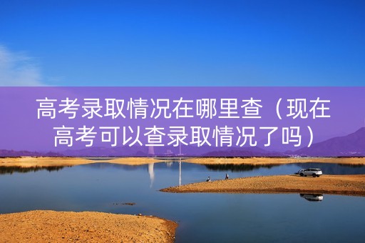 高考录取情况在哪里查（现在高考可以查录取情况了吗）