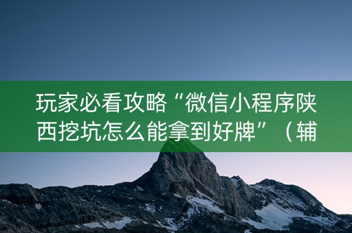 玩家必看攻略“微信小程序陕西挖坑怎么能拿到好牌”（辅牌器插件购买)