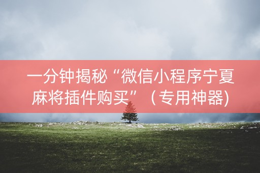 一分钟揭秘“微信小程序宁夏麻将插件购买”（专用神器)