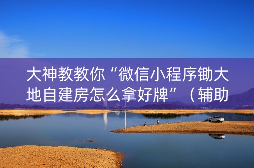 大神教教你“微信小程序锄大地自建房怎么拿好牌”（辅助器插件)