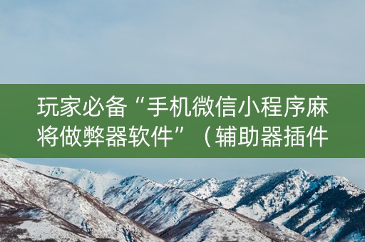 玩家必备“手机微信小程序麻将做弊器软件”（辅助器插件)