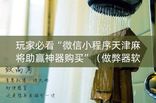 玩家必看“微信小程序天津麻将助赢神器购买”（做弊器软件下载)