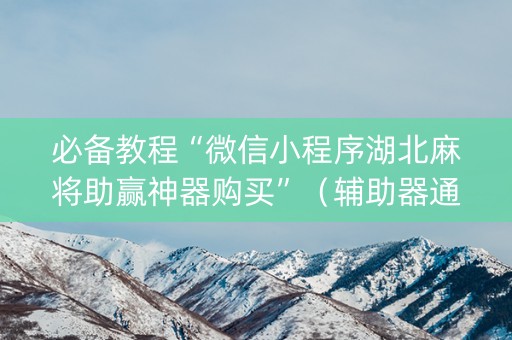 必备教程“微信小程序湖北麻将助赢神器购买”（辅助器通用版)