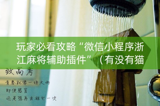 玩家必看攻略“微信小程序浙江麻将辅助插件”（有没有猫腻)