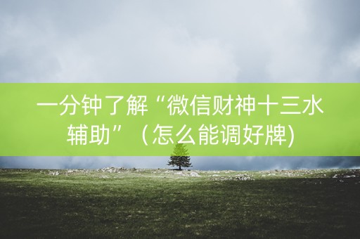 一分钟了解“微信财神十三水辅助”（怎么能调好牌)