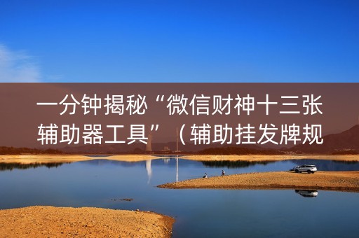 一分钟揭秘“微信财神十三张辅助器工具”（辅助挂发牌规律)