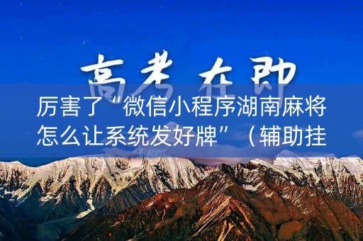 厉害了“微信小程序湖南麻将怎么让系统发好牌”（辅助挂发牌规律)