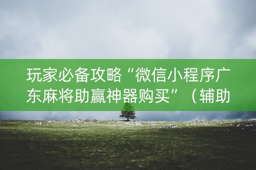 玩家必备攻略“微信小程序广东麻将助赢神器购买”（辅助神器免费)