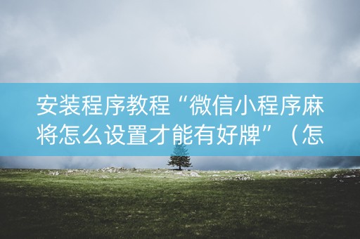 安装程序教程“微信小程序麻将怎么设置才能有好牌”（怎么提高胜率)